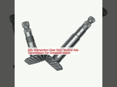 Transmisi poros tidak vertikal untuk motor Greatwall